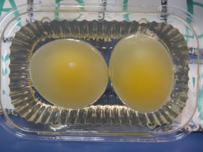 Two "naked" eggs, whose shells have been removed