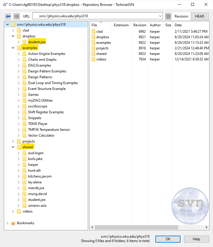 PHYS 318 SVN Repository